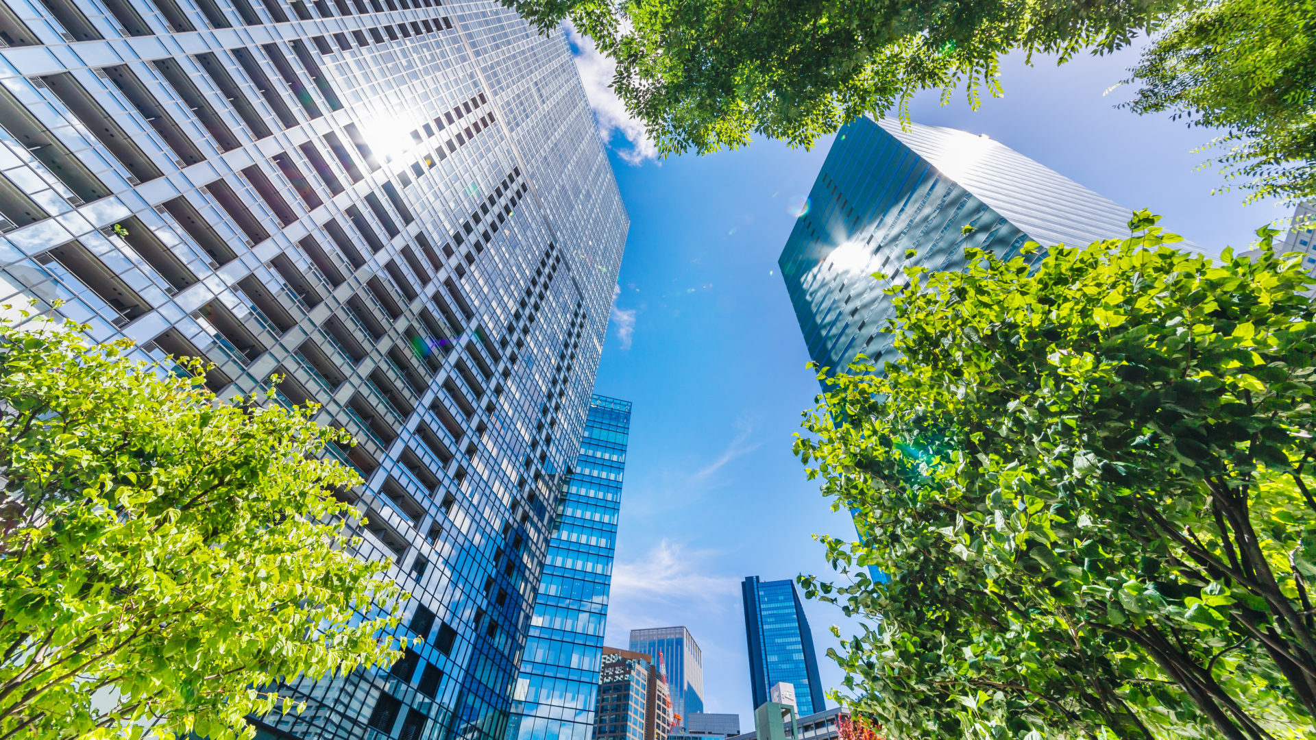 日本住建メンテナンス